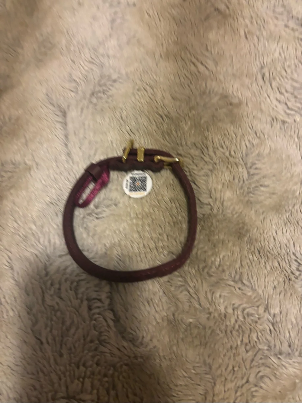 XS Rolled Leather Dog Collar